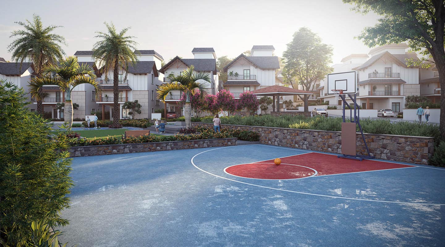 Basket Ball Court